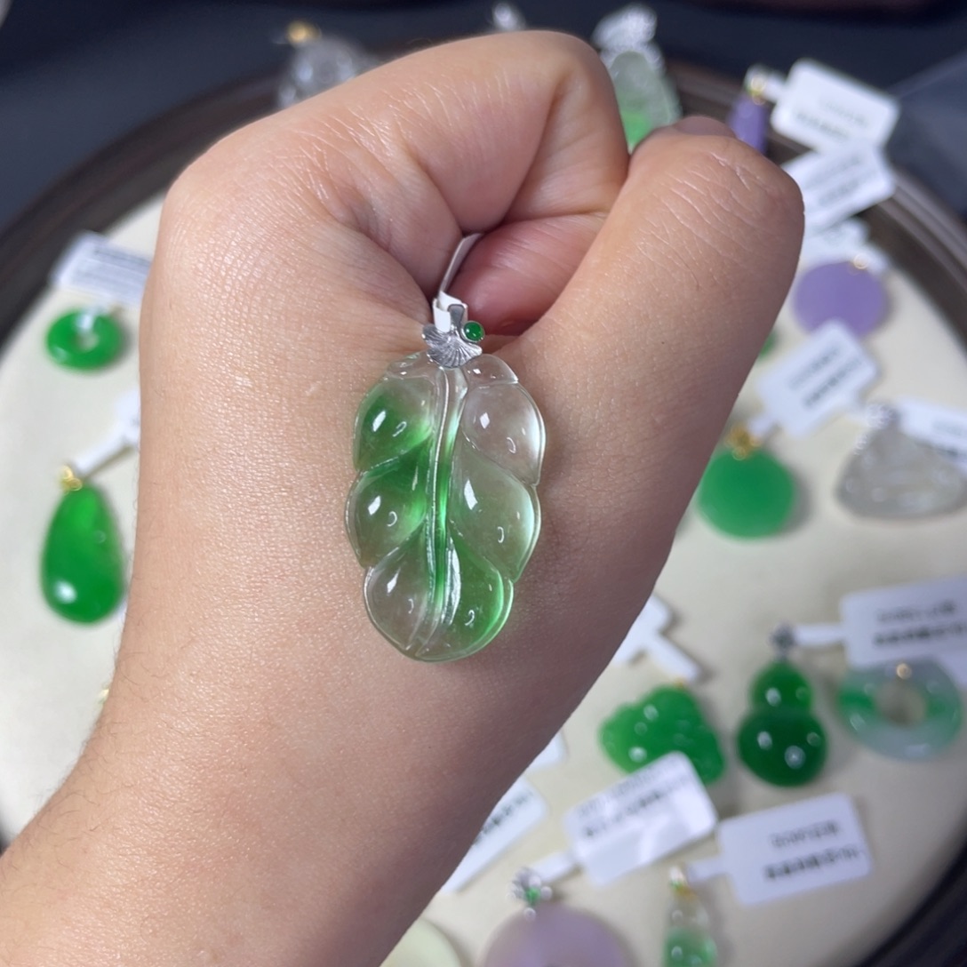 喵****树叶直播编号S0136