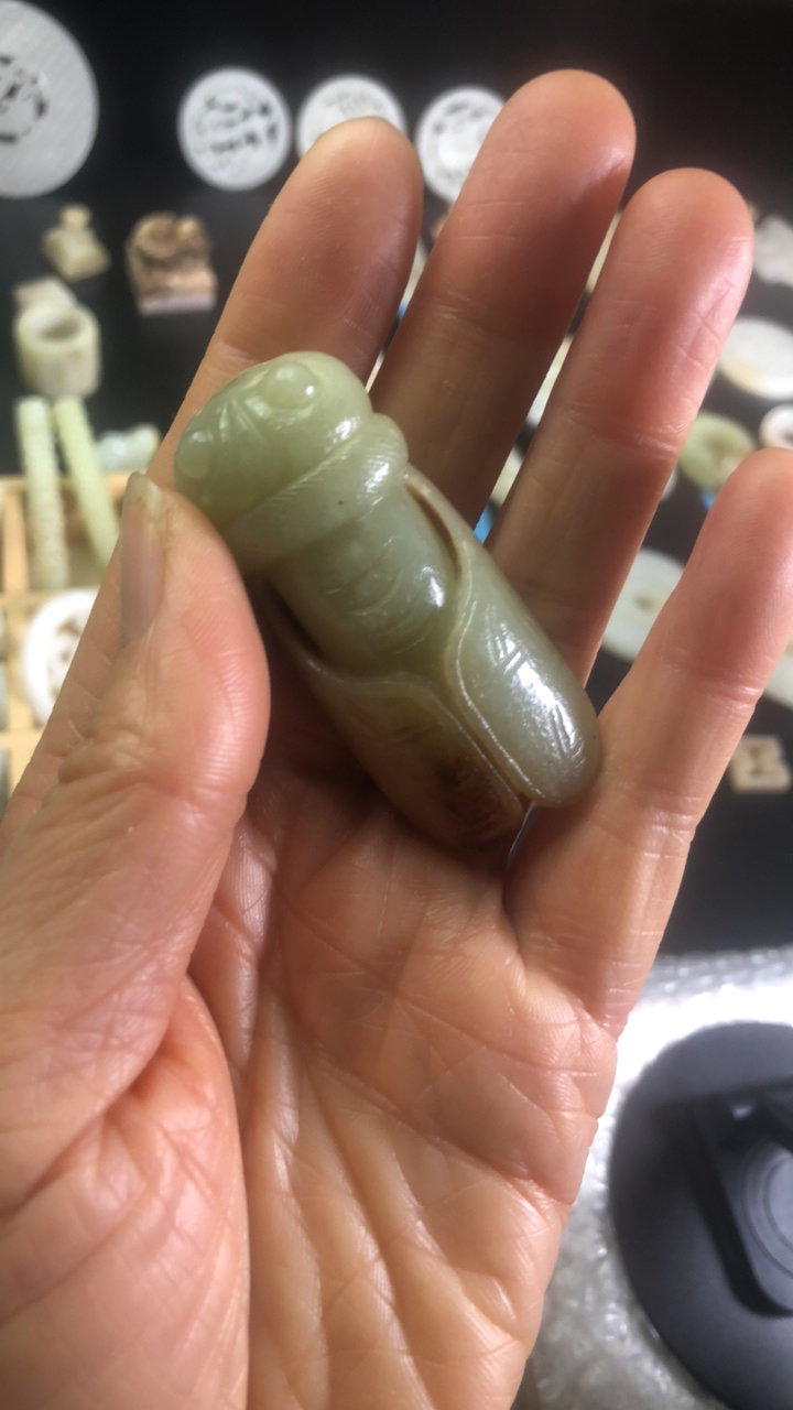 和田青白玉手把玉蝉