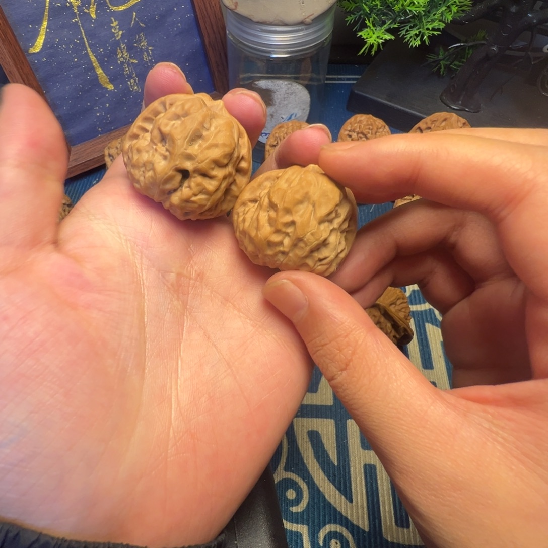 35尺蛤蟆头（大眼瞪小眼）