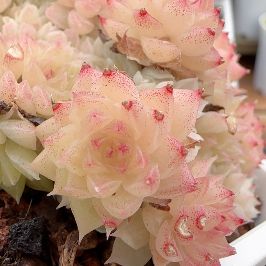 【闪购商品】0209-36（m1-40）