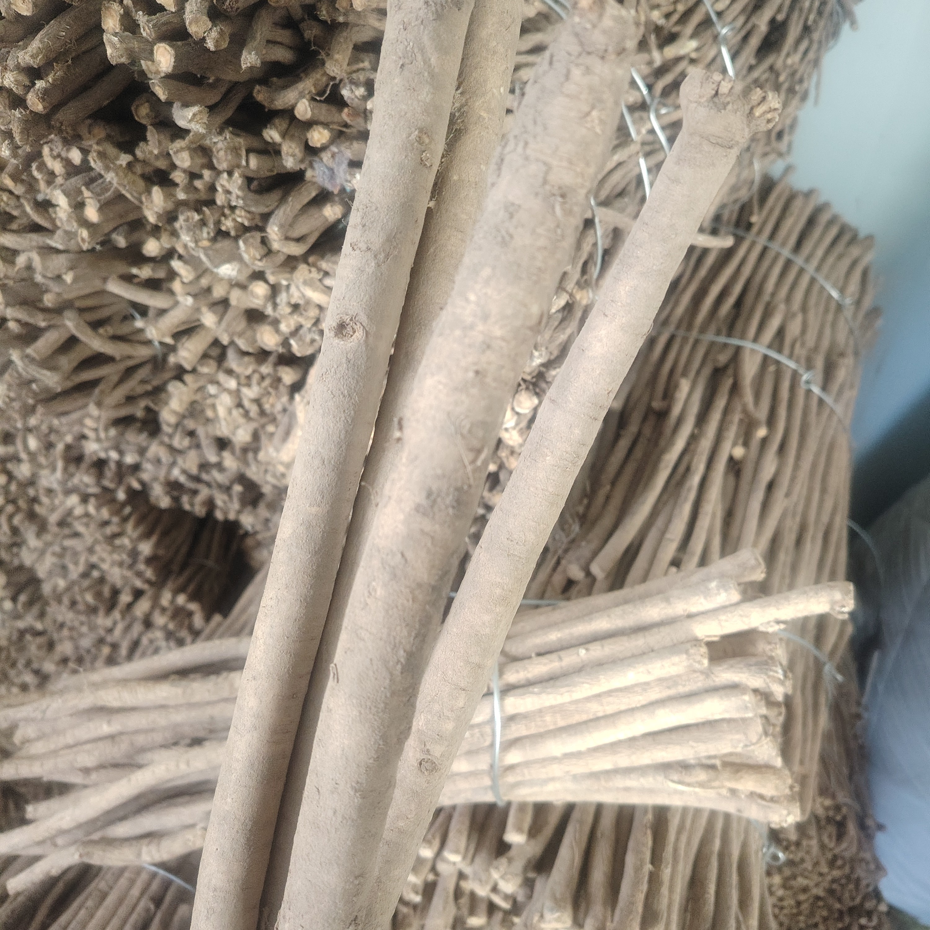 甘肃岷县原产地无硫熏新鲜黄芪原枝切段可煲汤泡水滋补品