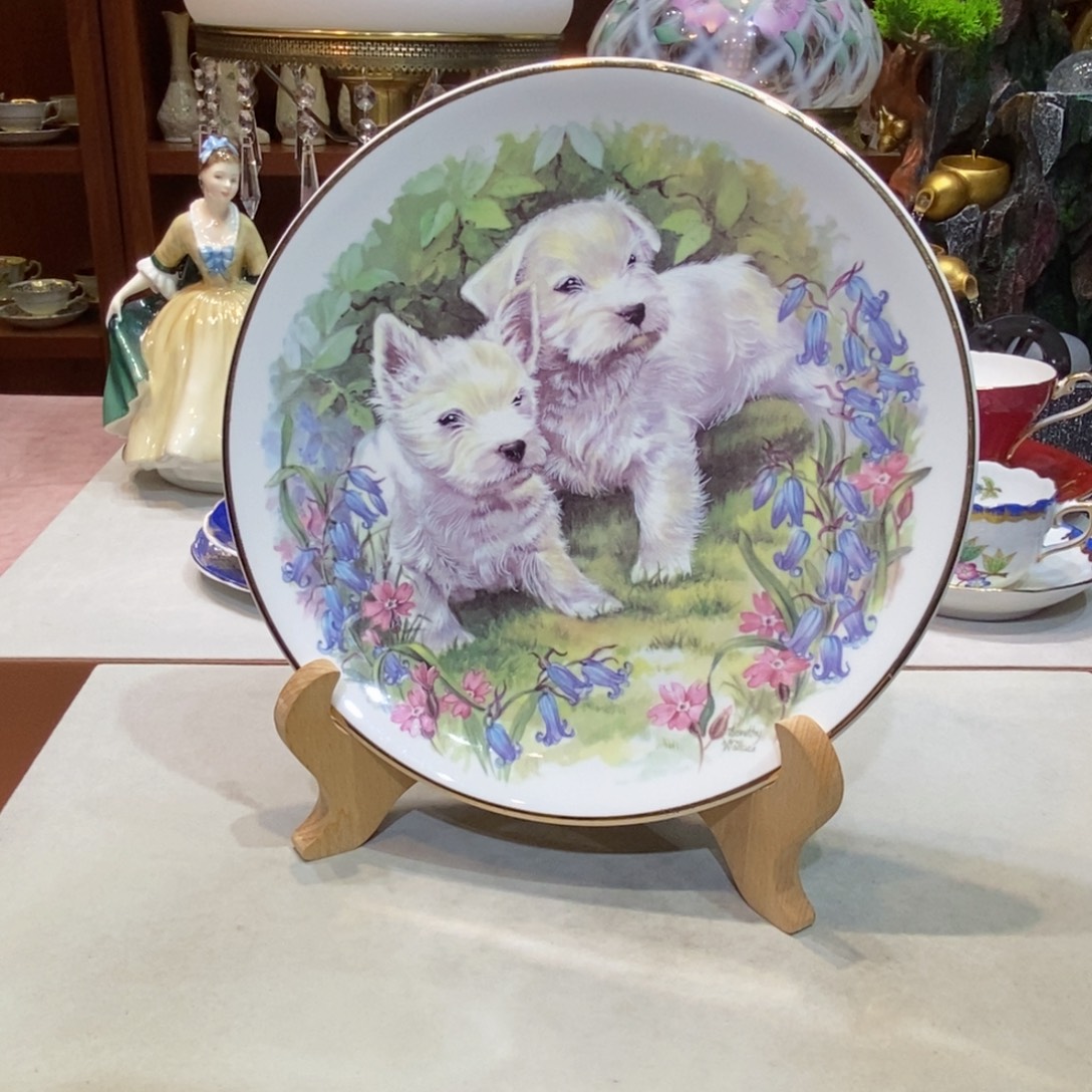 啊啊啊啊啊啊啊啊啊