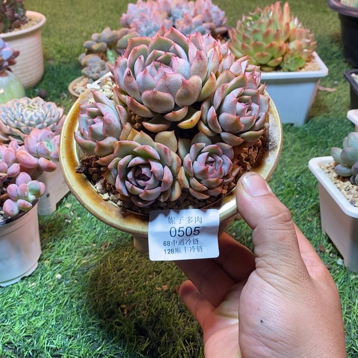 0505啊啊啊啊啊啊啊啊啊