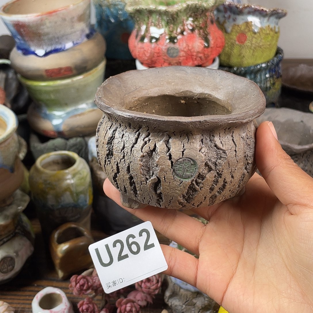 默认微次 跨年福利 坛子姐花盆