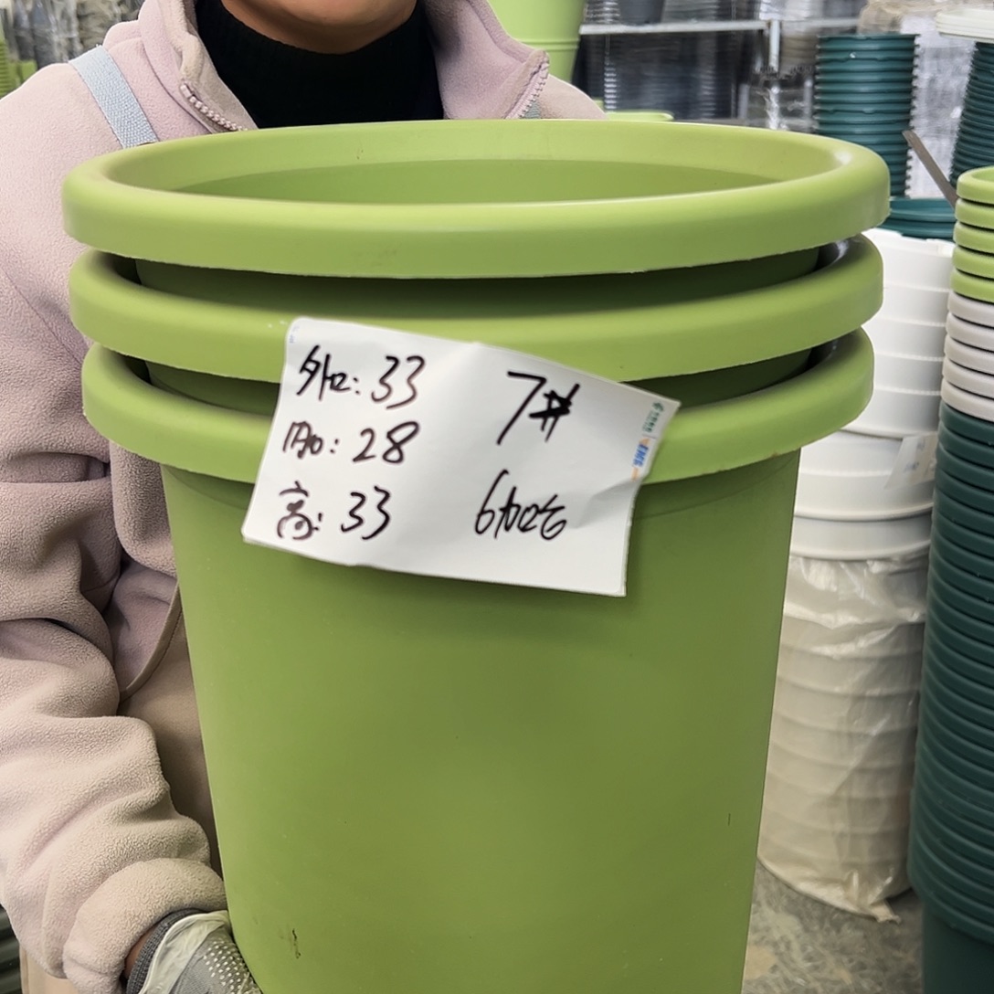 四季盆7#果绿色6个无托