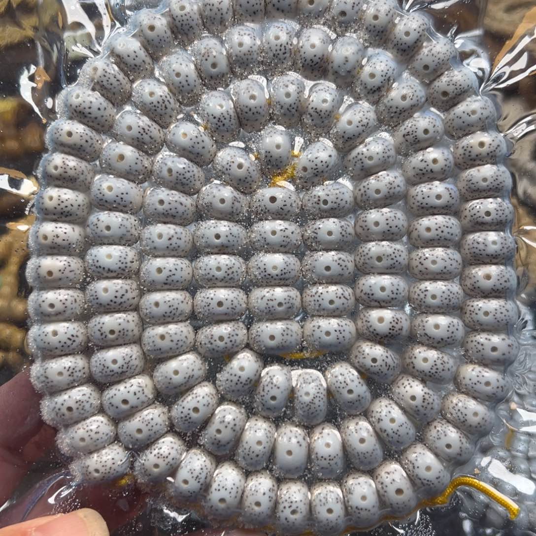 星月菩提吊坠勇**途星月