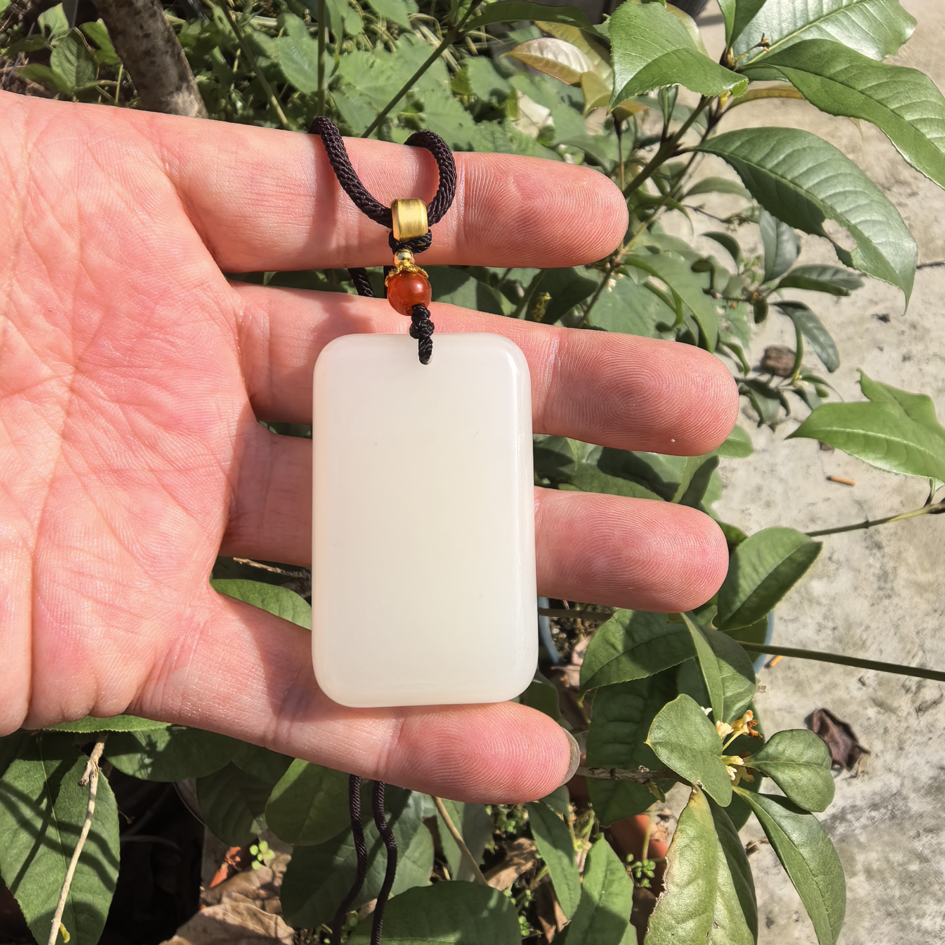 002--精品老料时尚青白30/50无事牌！