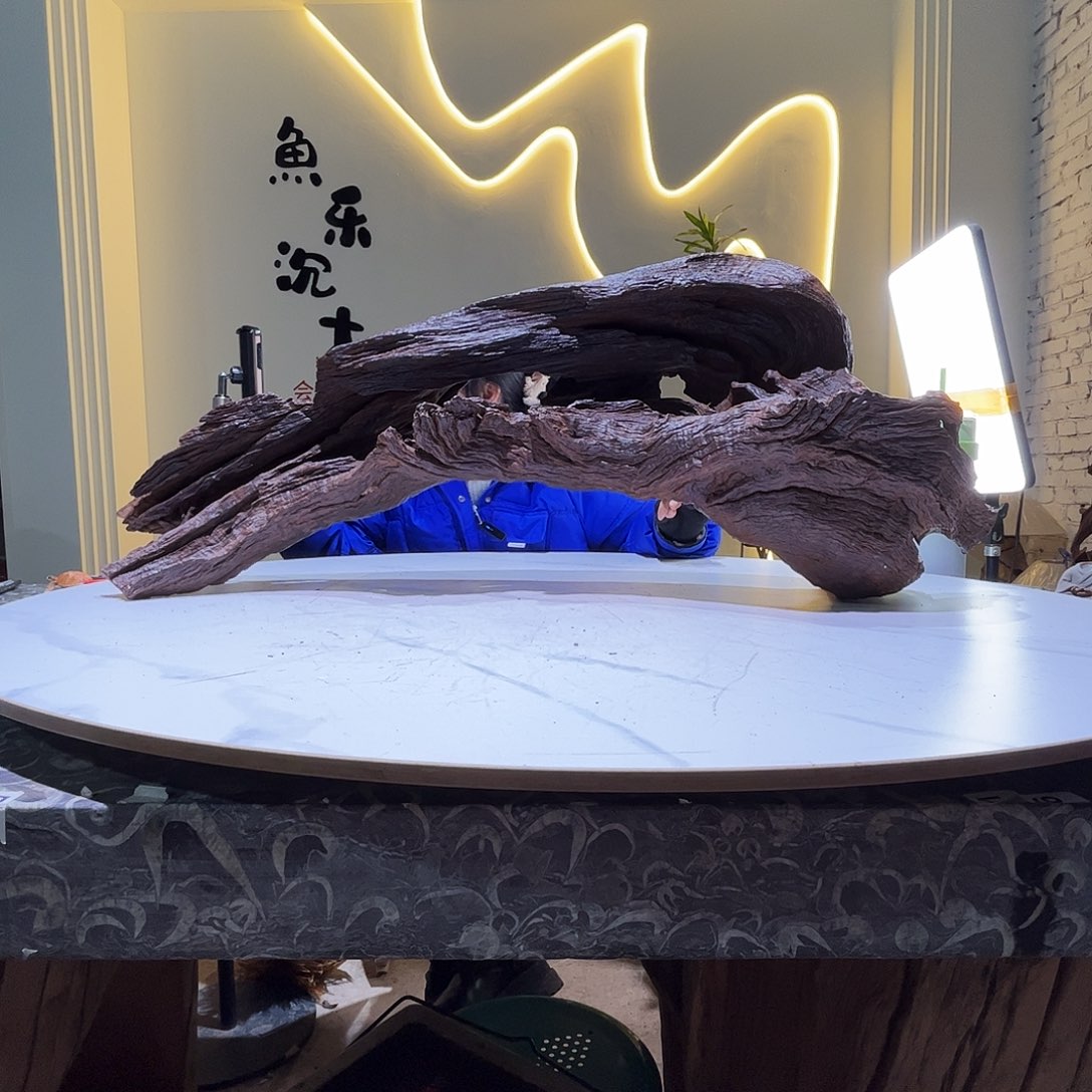 瓦当听*100 27 37 会黄黑红水181