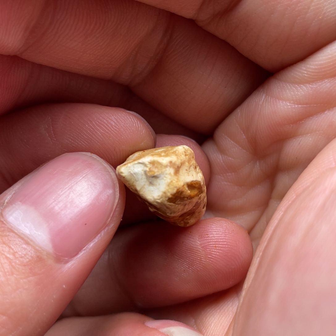 定制琥珀未镶嵌天然蜜蜡