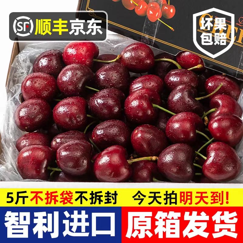 智利进口2J车厘子原箱5斤【顺丰京东今天拍明天到】孕妇宝宝海运内附果径卡F桑提娜樱桃智利共和国