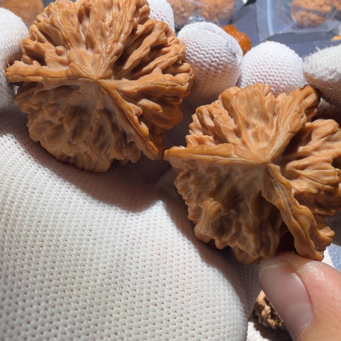 文玩核桃把件帝王三棱奔