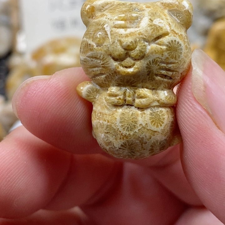 颈饰未镶嵌硅化珊瑚（珊瑚玉）有瑕 小