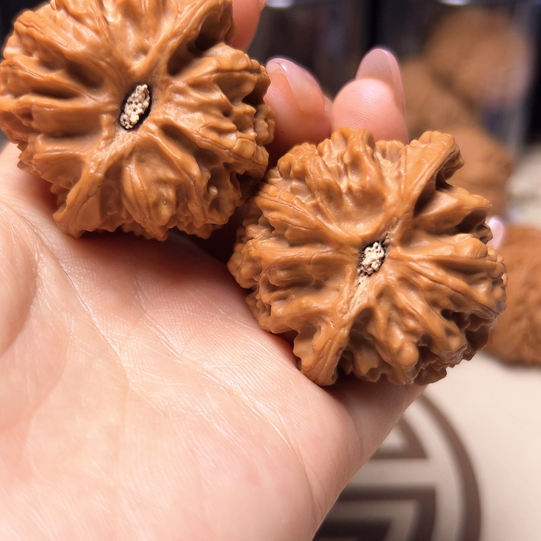 文玩核桃把件44苹果全