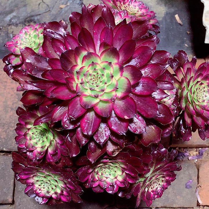 美姬2号啊啊啊啊啊