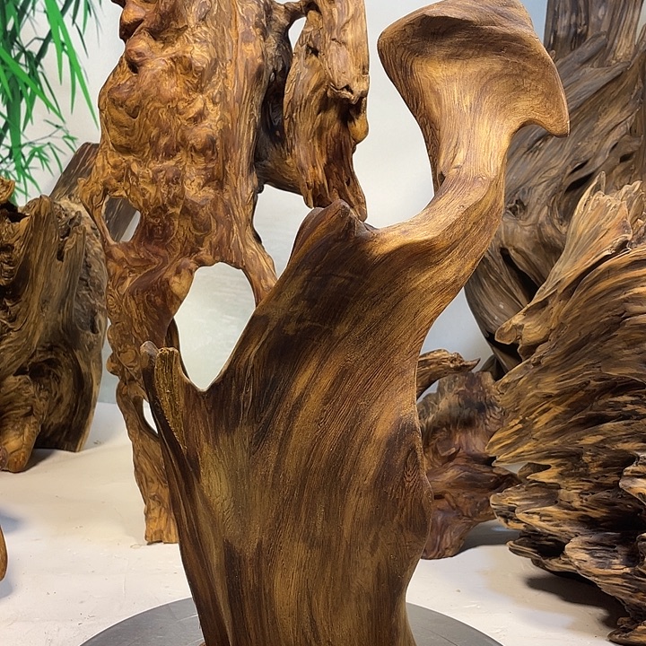 楚***南木直播间一物一拍