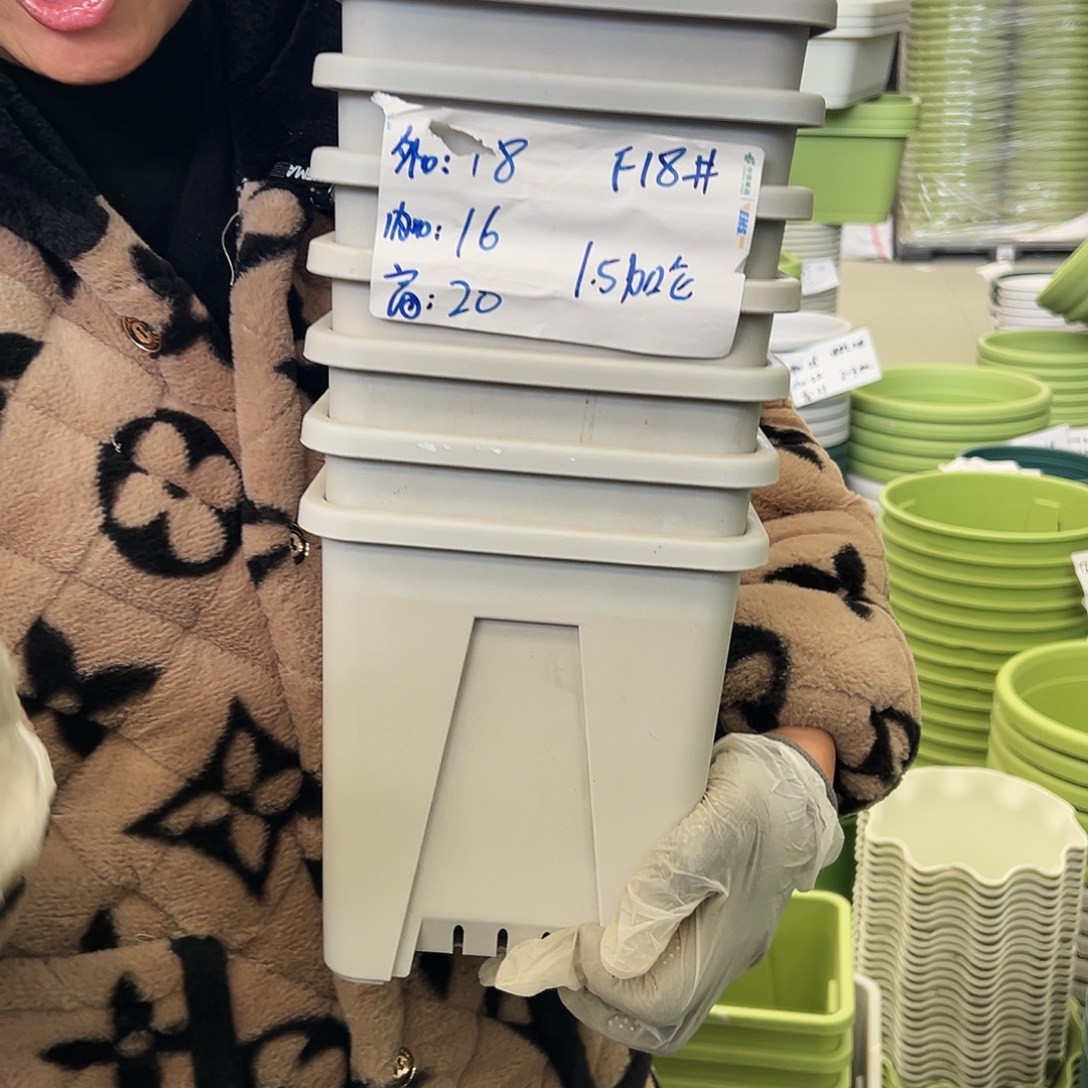 瑕疵方盆F18#灰白色5个无托