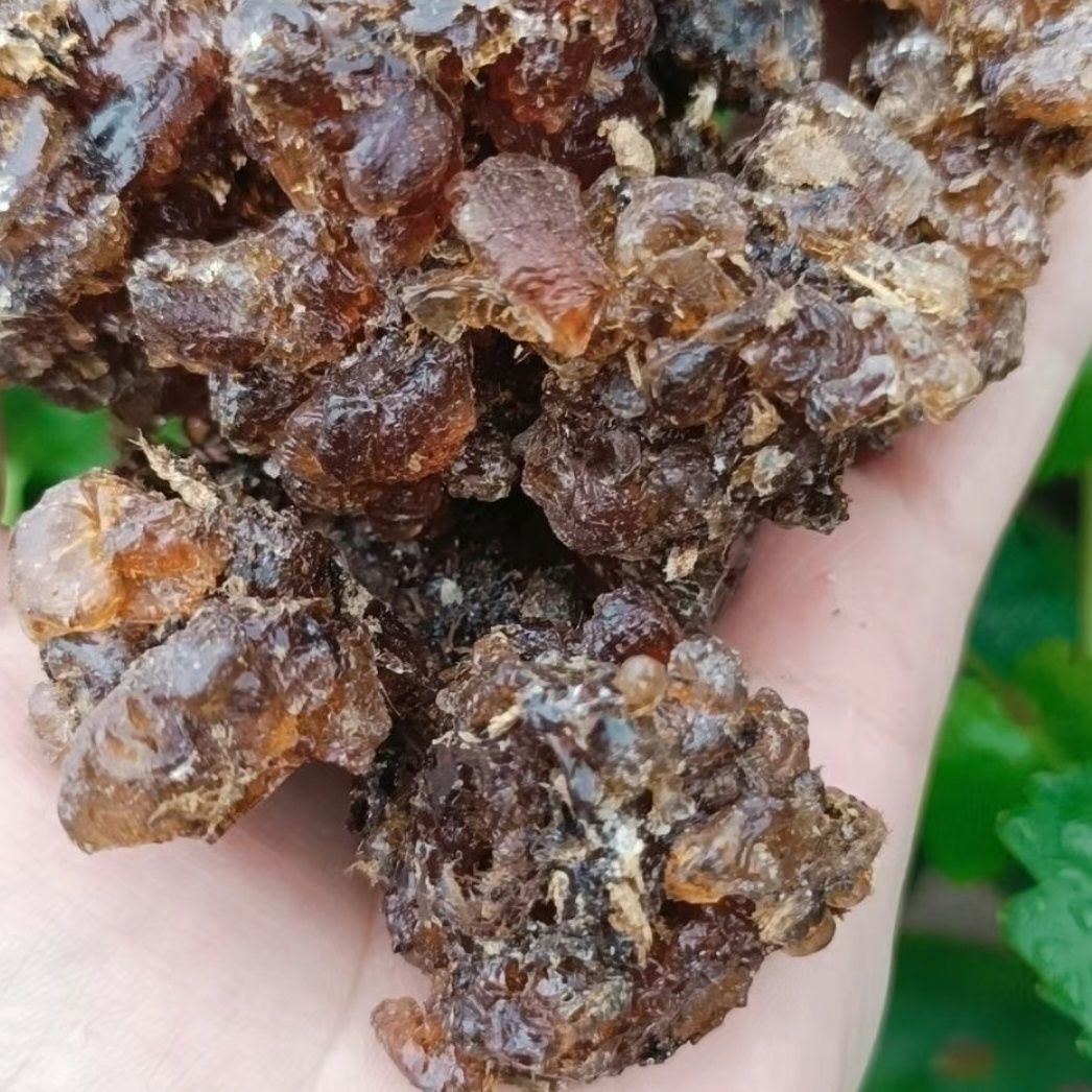 yarlik jigda yilimi 魅力妙沙枣胶质 发膜