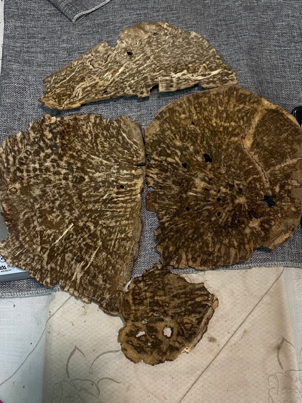 沉香大板头146克，背面干净，海南大山天然结香，清香甜凉，亲闻甜爽。