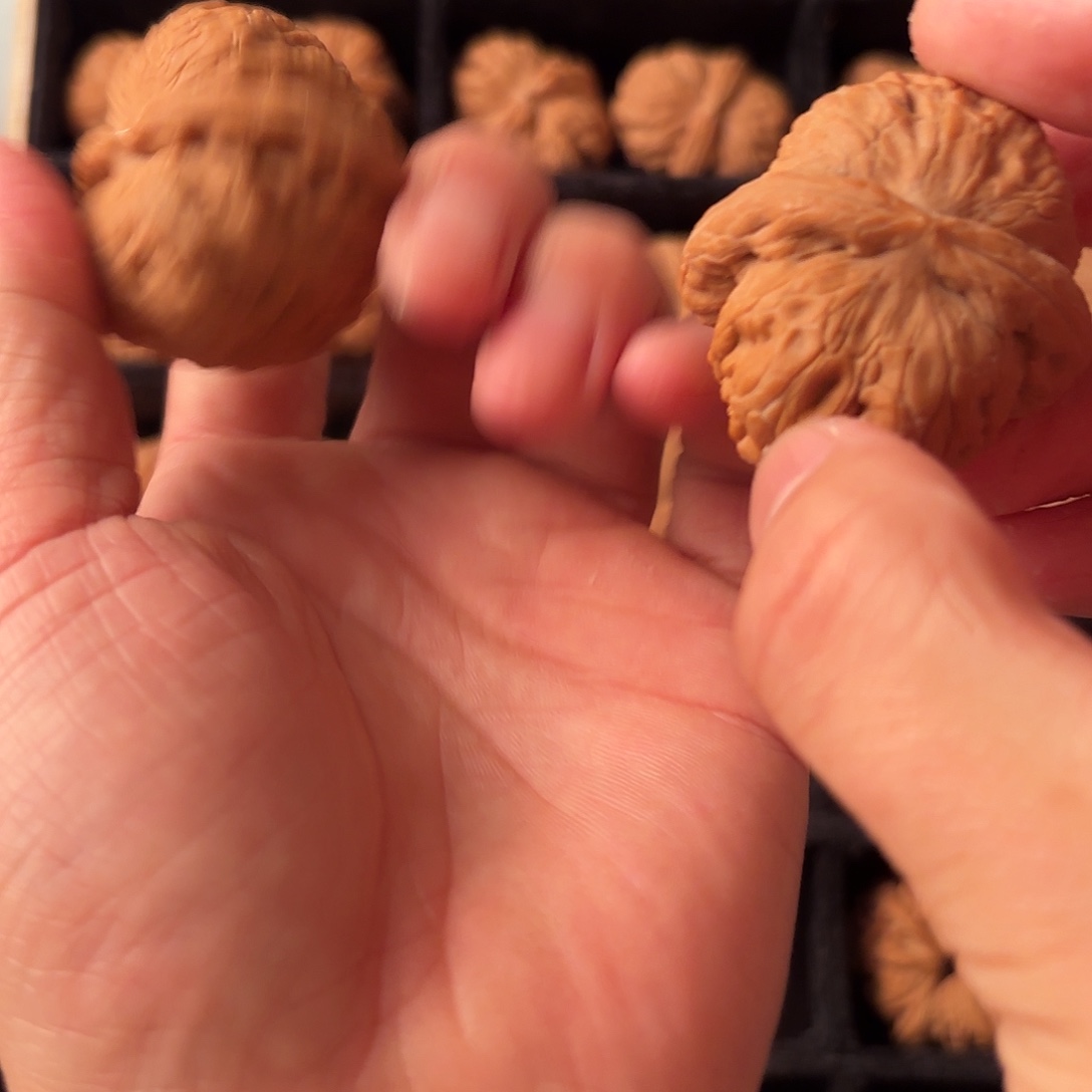 核桃手串/手链8888