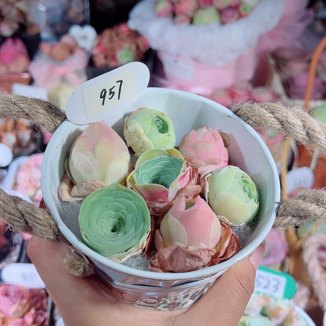 957新粉福利铁皮桶组合。         