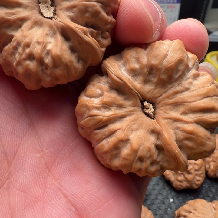 ****）核桃文玩核桃文玩核桃