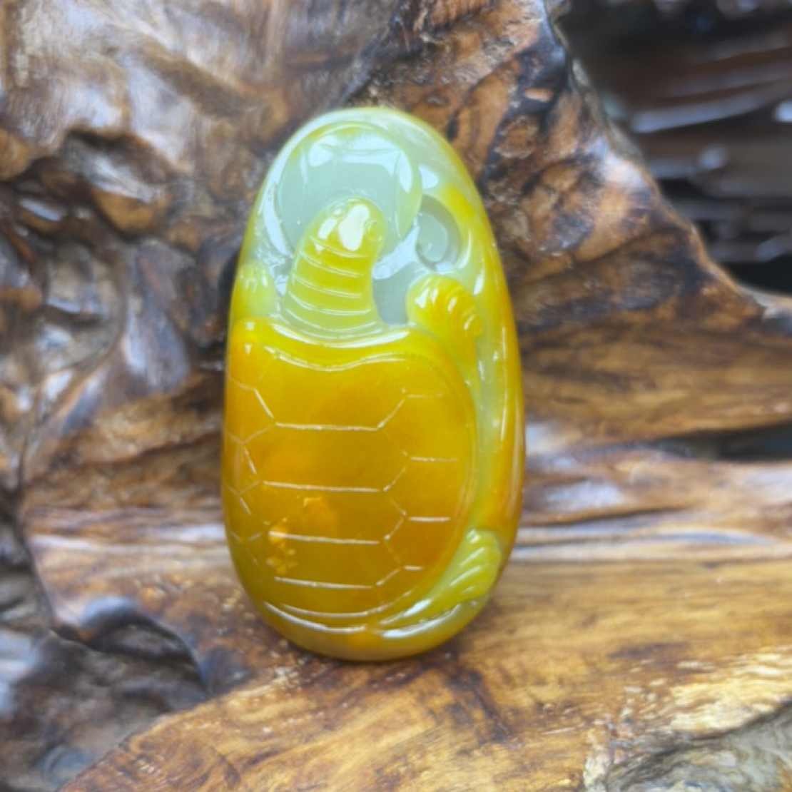 新疆和田玉，103克，龙龟