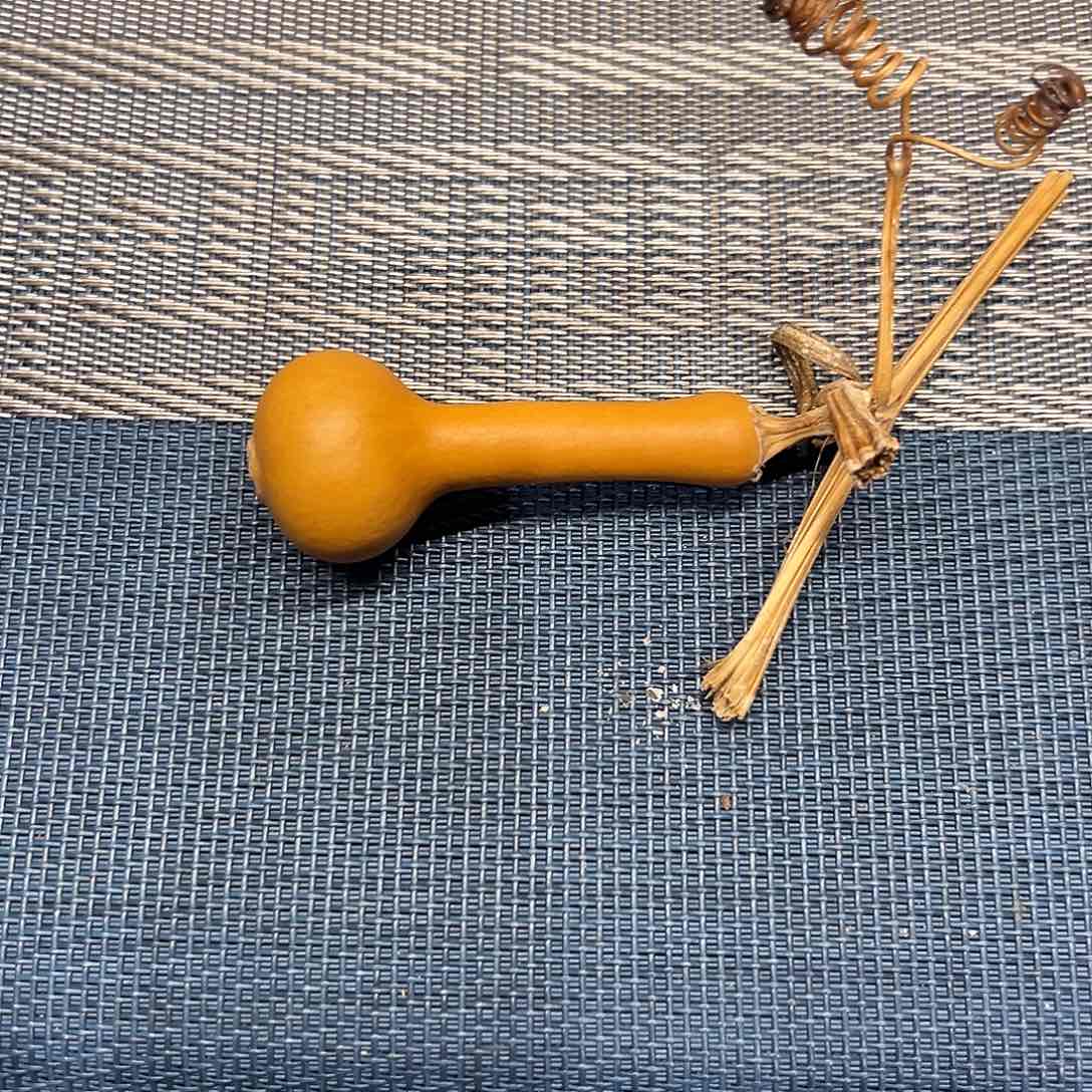 X****。新年快乐恭喜发财