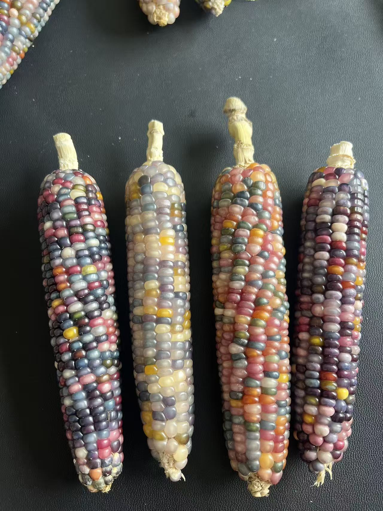 七彩琉璃玉米文玩玉米（一物一拍请勿私拍）