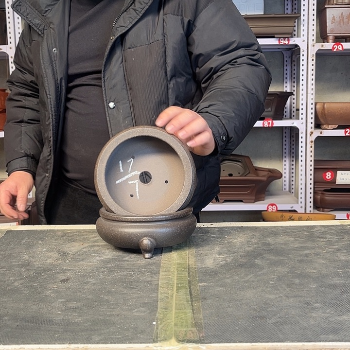 紫砂花盆紫紫好美