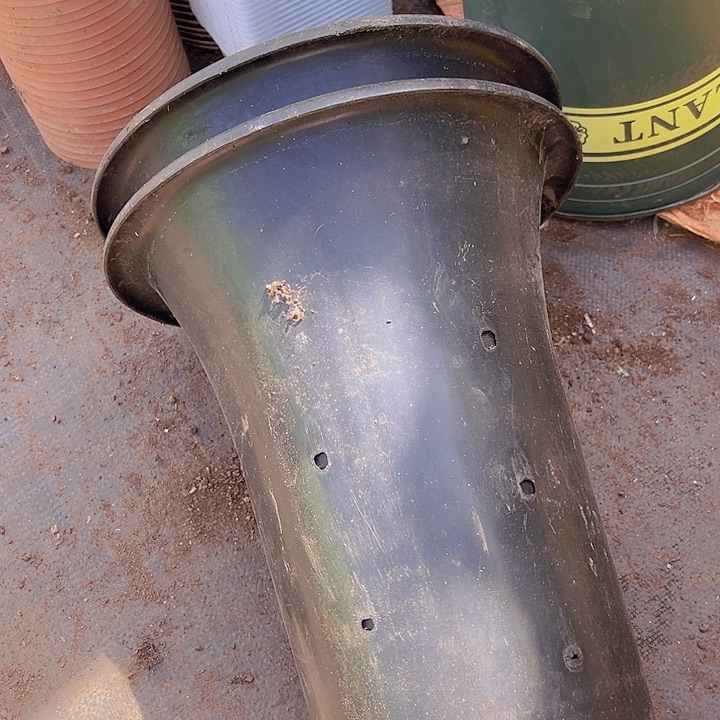 兰花盆福利福利福利