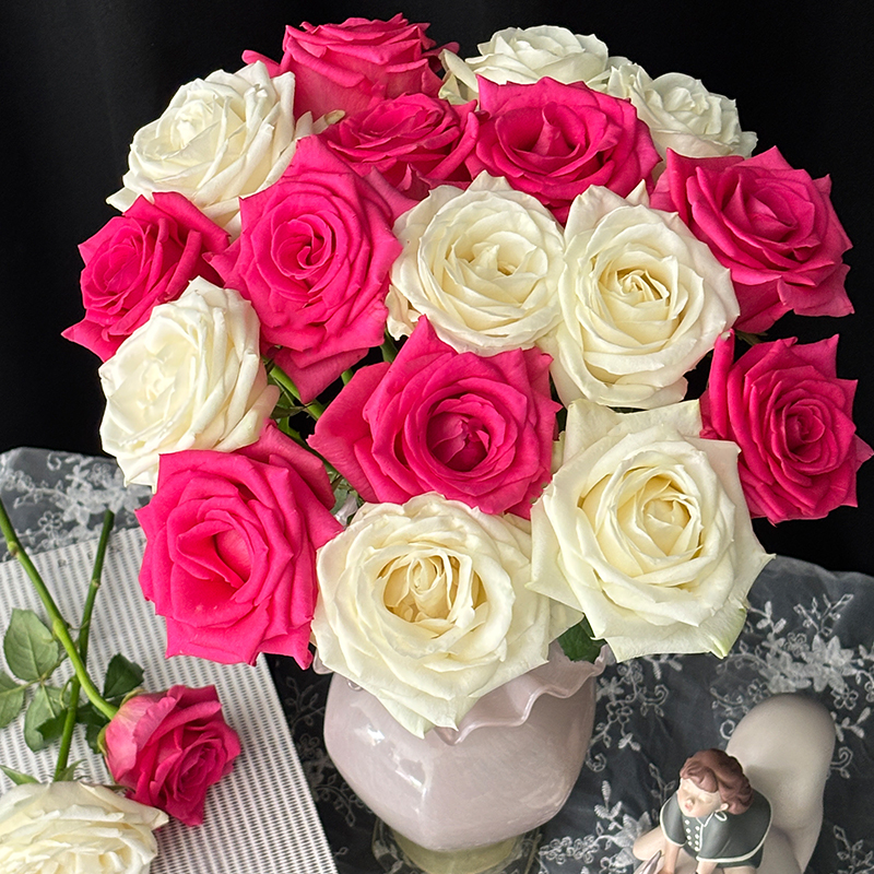 【弗洛伊德10+随机白玫瑰10】玫瑰 50-55cm 一单顺丰包邮 现采现发