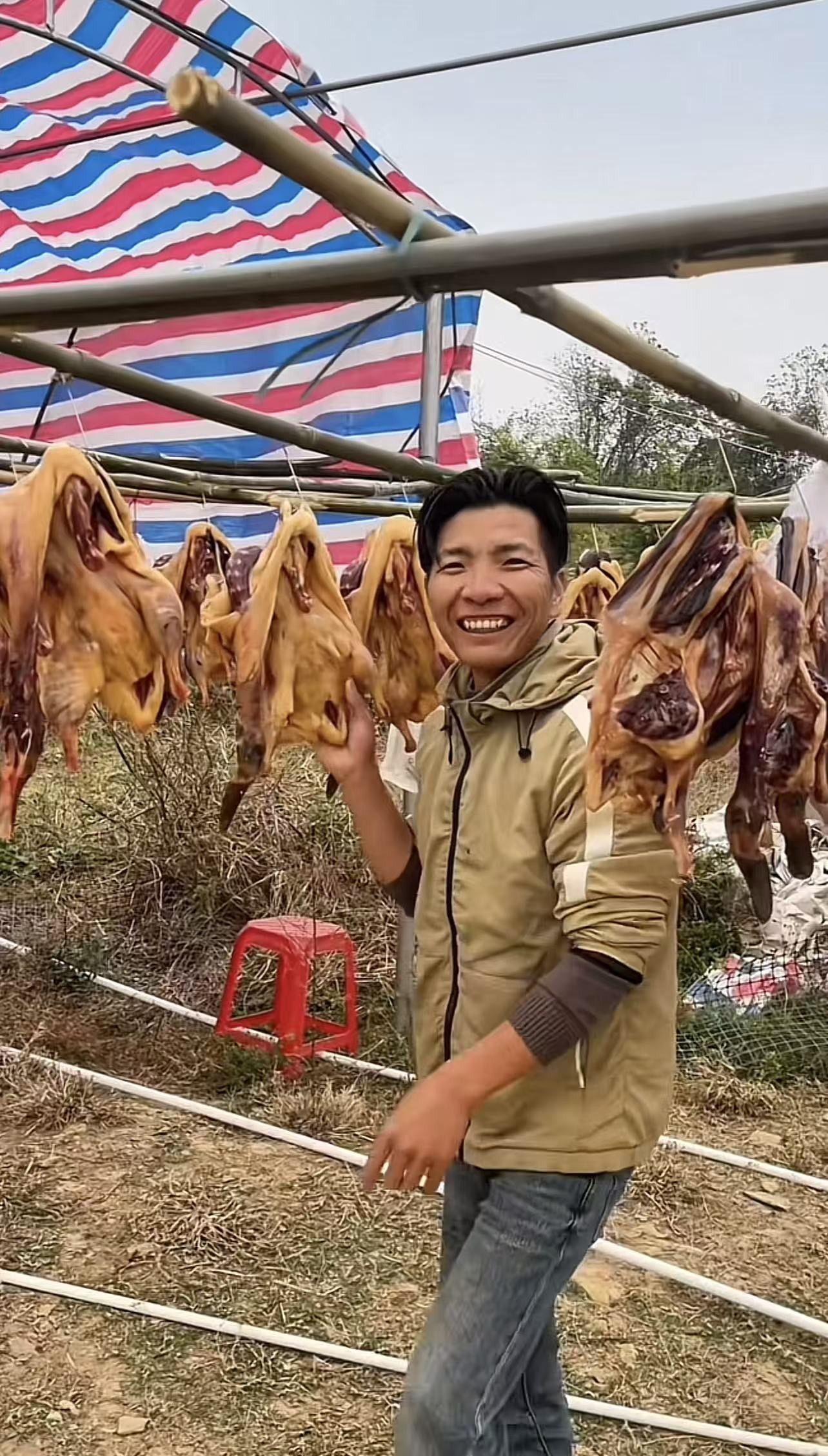 160天大青头 自然风干腊鸭