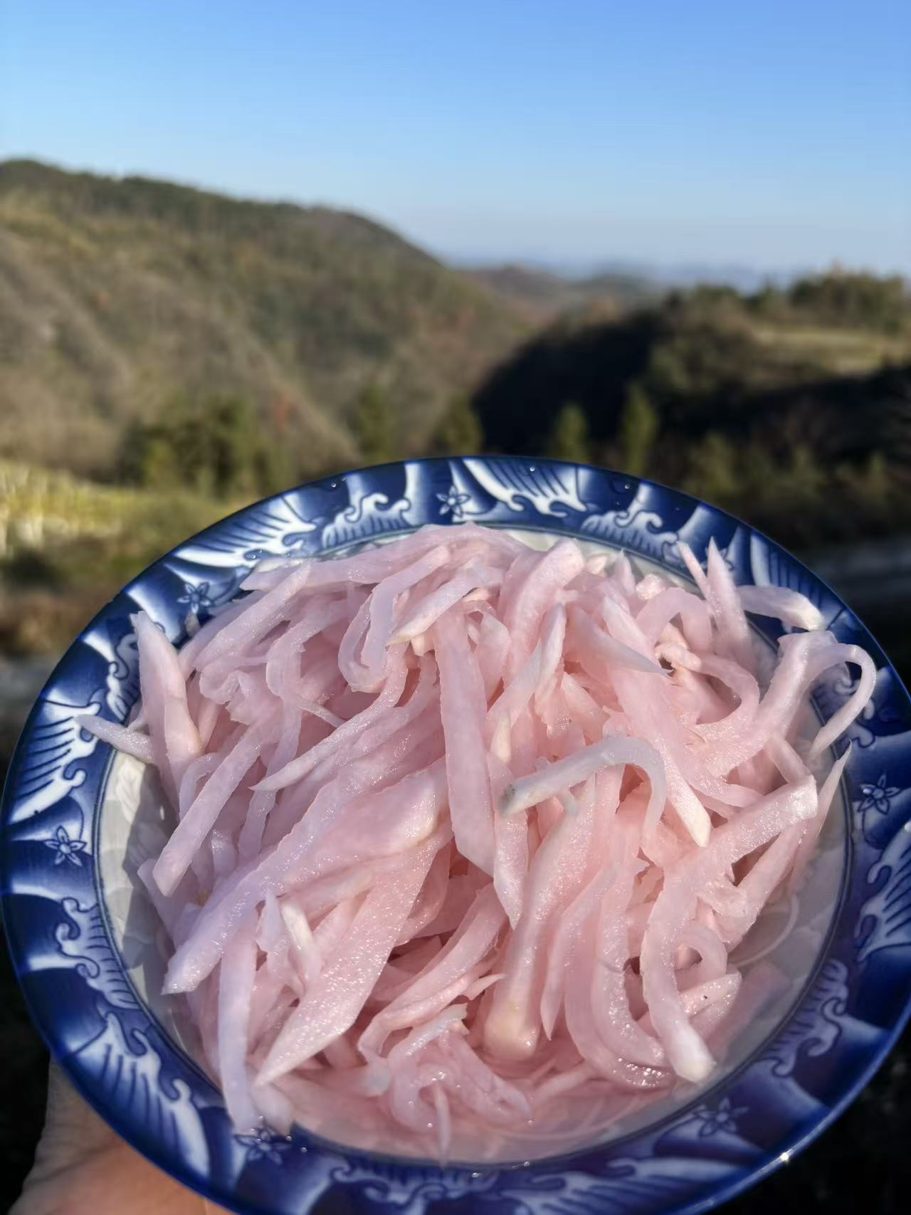 湘西高山农家【酸萝卜】