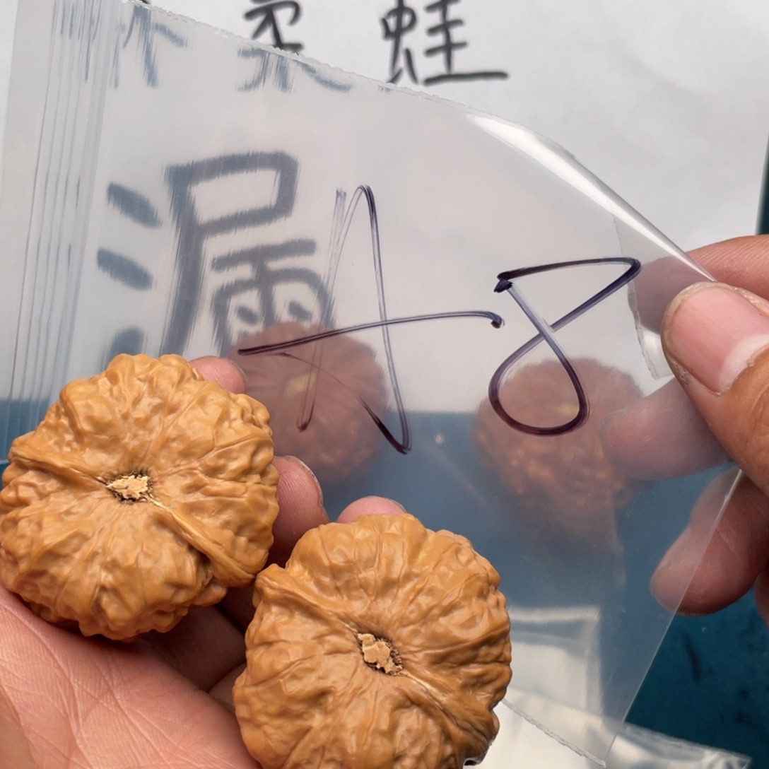 核桃手串/手链W:57538638368