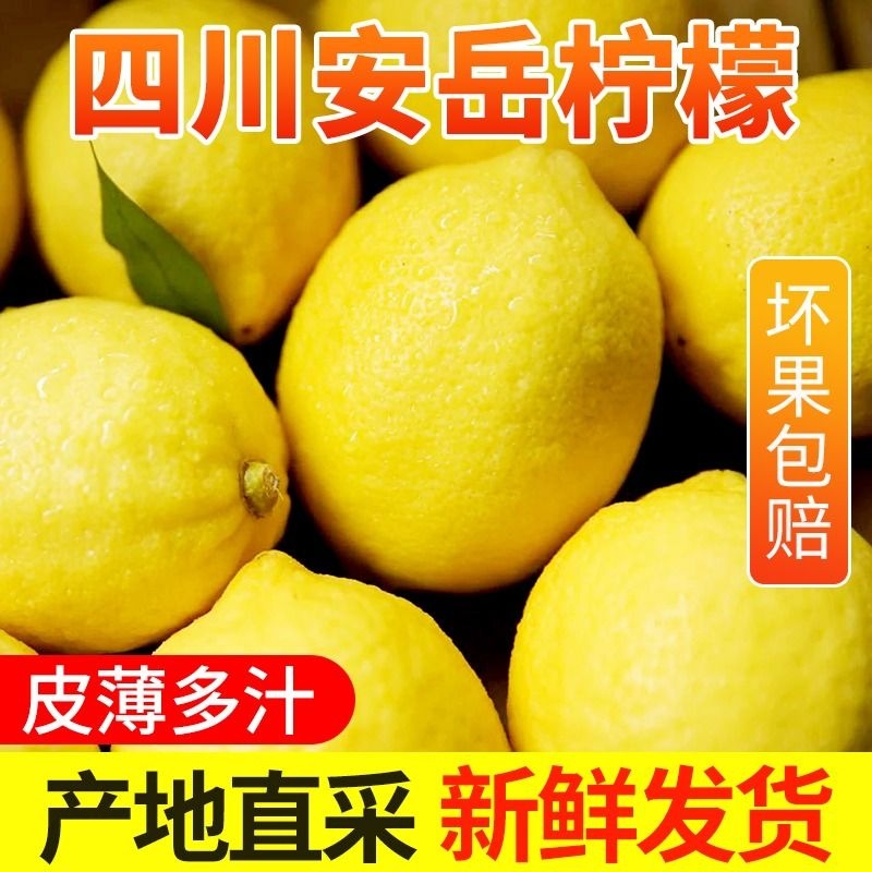 四川安岳柠檬 新鲜维C皮薄多汁香水柠檬奶茶店整箱一级小青柠包邮