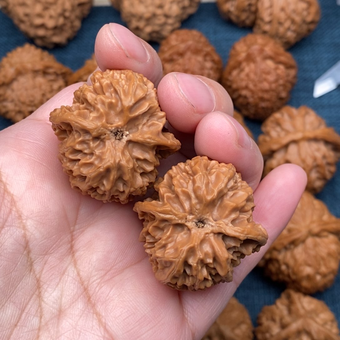 文玩核桃把件33精品老树小苹果全品