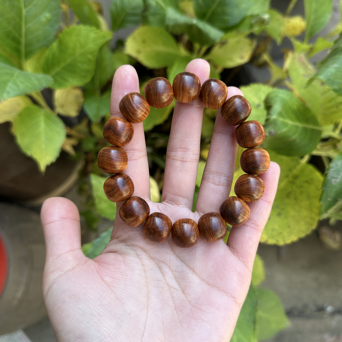 太行崖柏彩骨1.3✖️1.4苹果珠收藏品