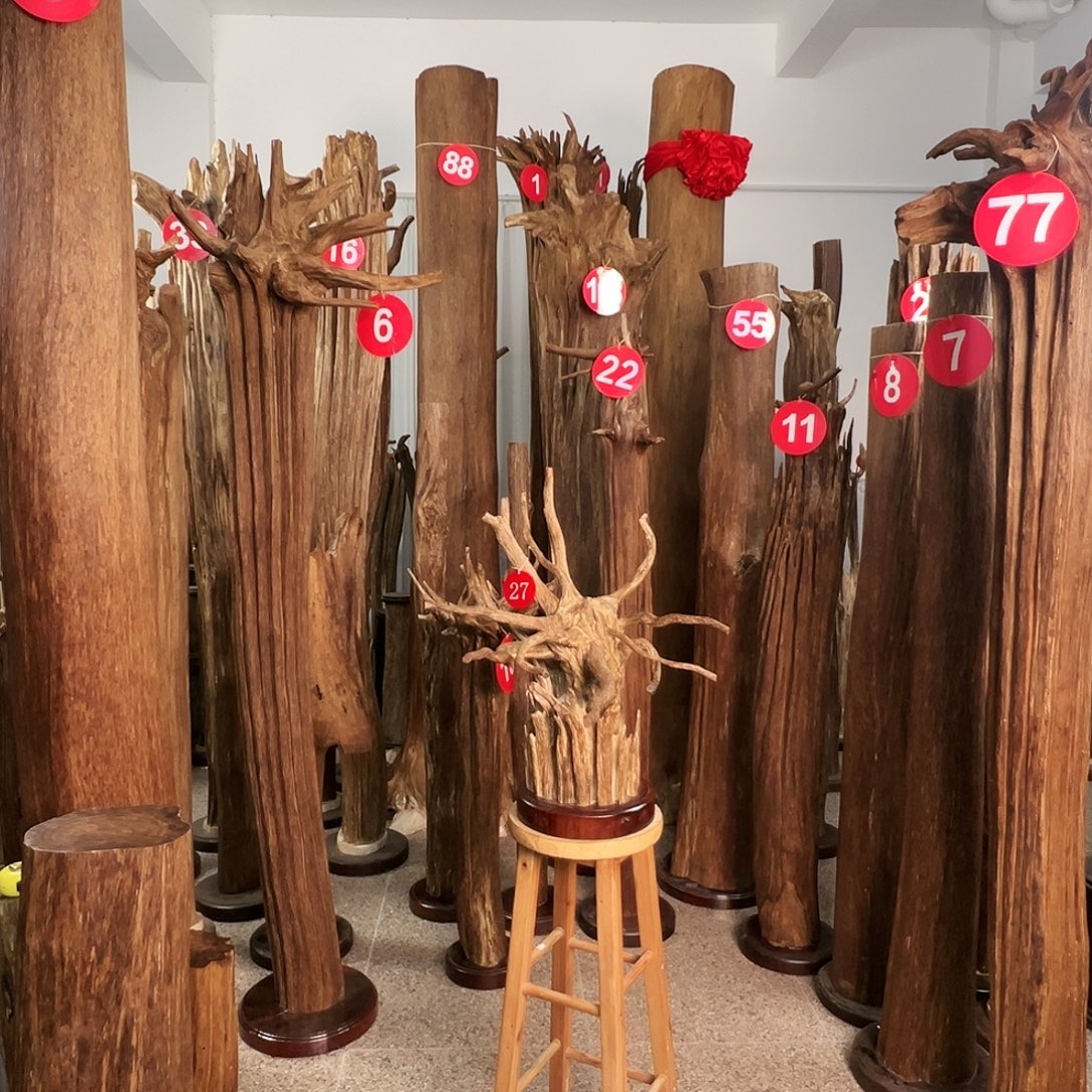 狼***王摆件沉香沉香原料H