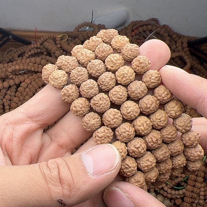 金刚菩提手串瞬****动蛤蟆背