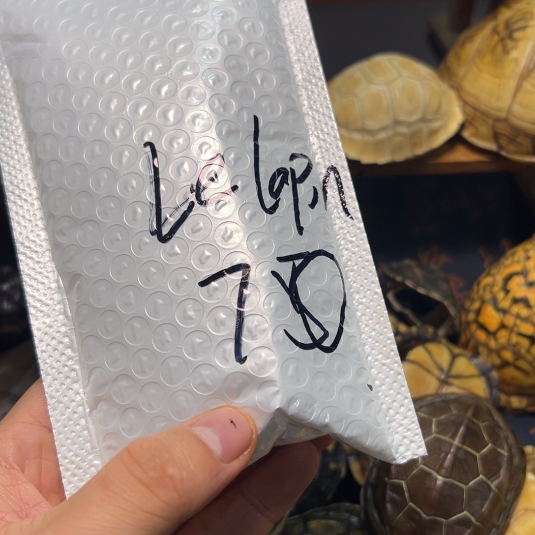 L***n啊啊啊啊啊啊啊啊啊啊