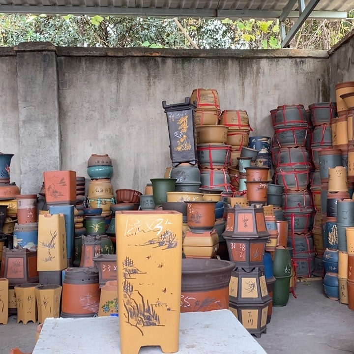 紫砂花盆盆栽花卉种植