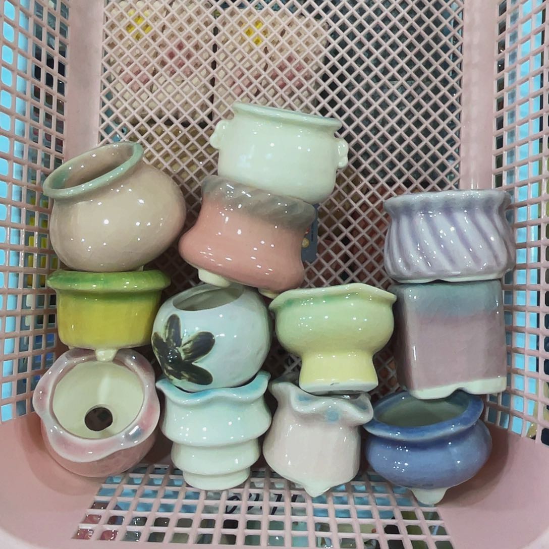 多肉花盆处理9.99包邮