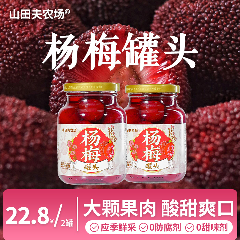杨梅罐头应季水果罐头大瓶418g糖水新鲜果肉颗粒即食零食整箱送礼