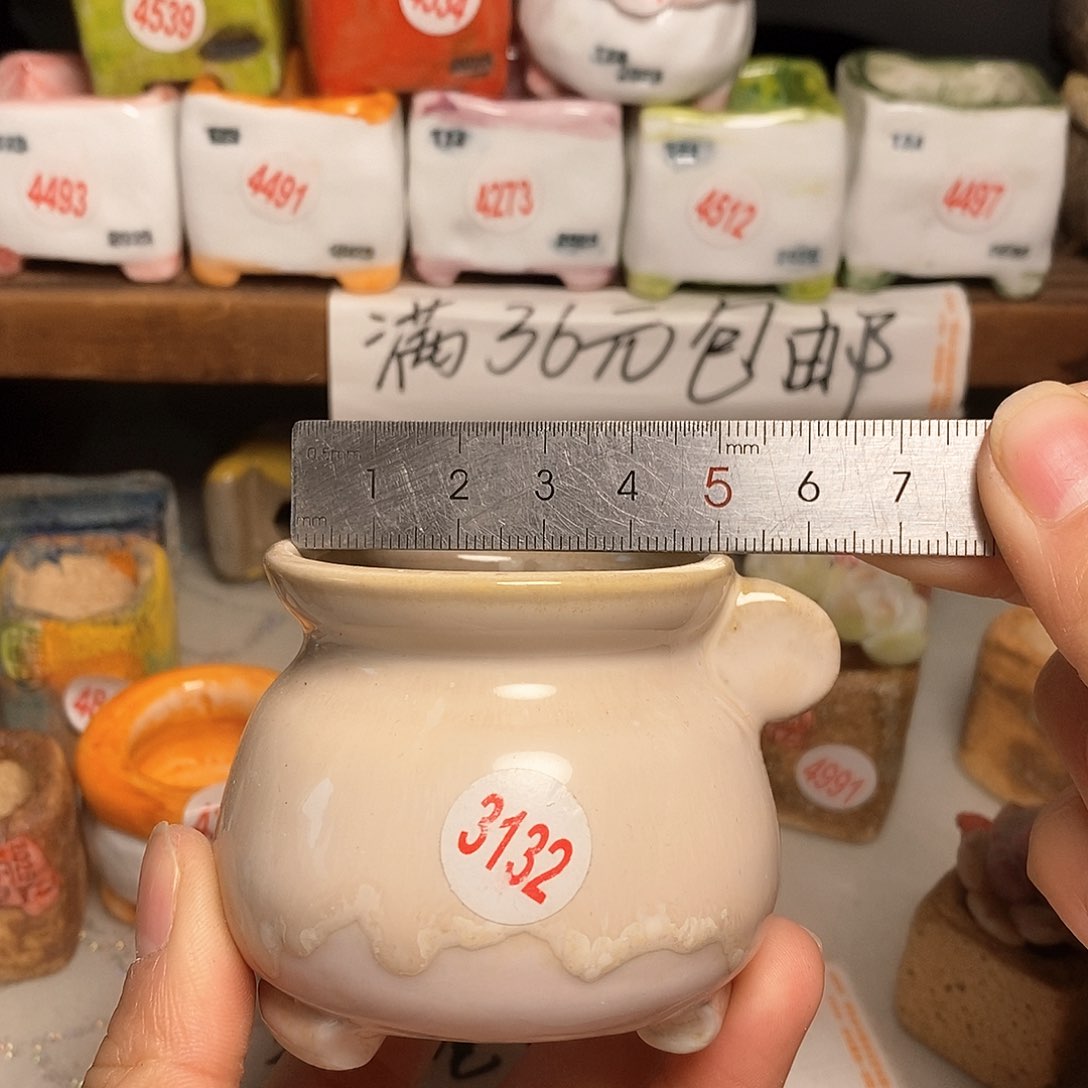 红陶拍5送一个小
