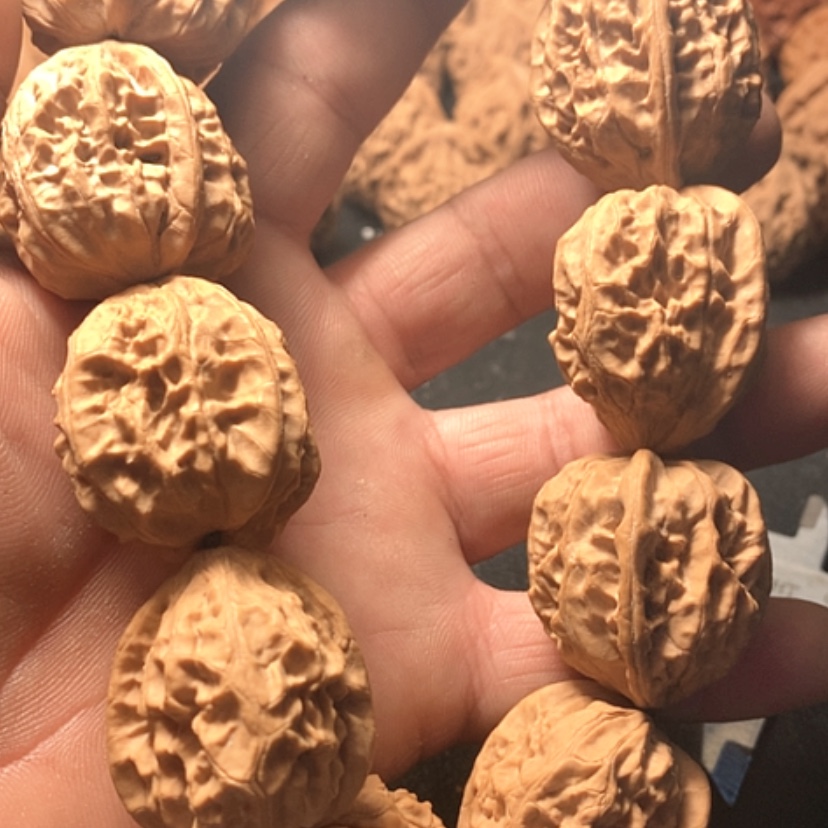 【闪购商品】研***丶串