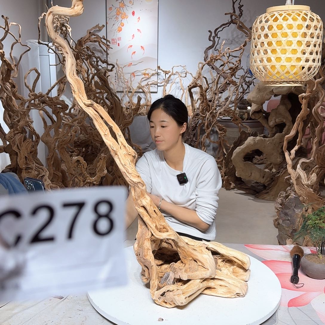 风车木（黑檀木）毛**?