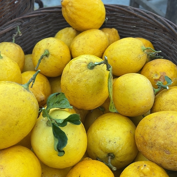 云南农家老品种黄柠檬3斤