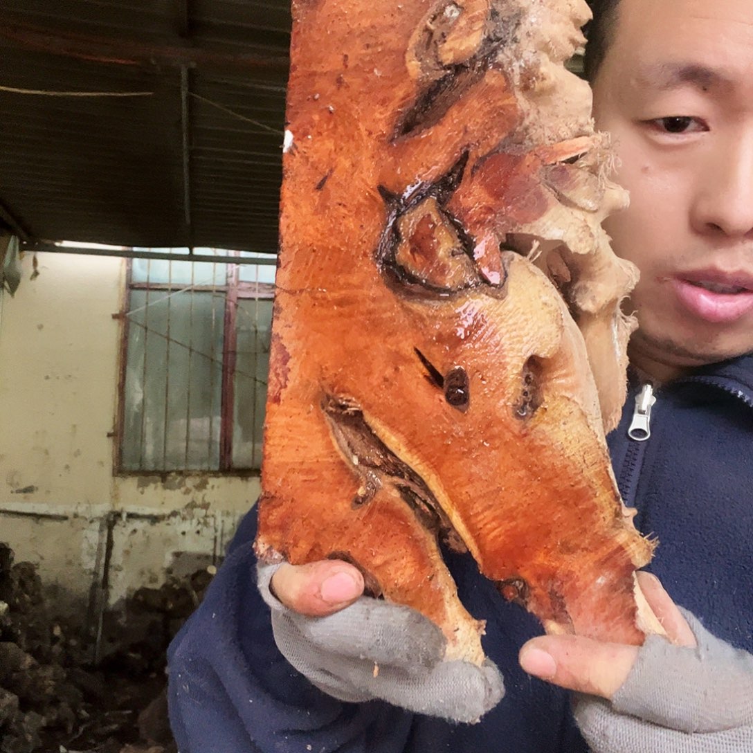 工***乐无花朵0000000000261