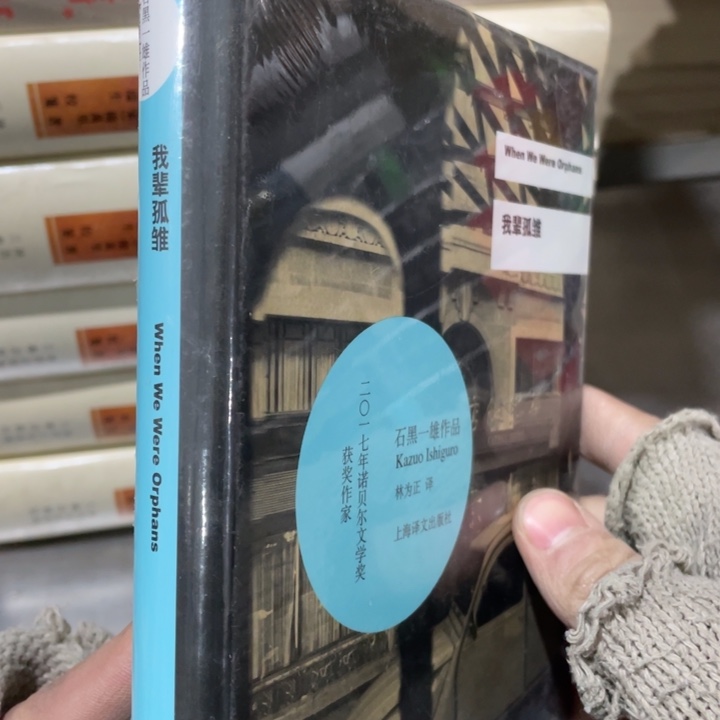 我辈孤雏正版塑封