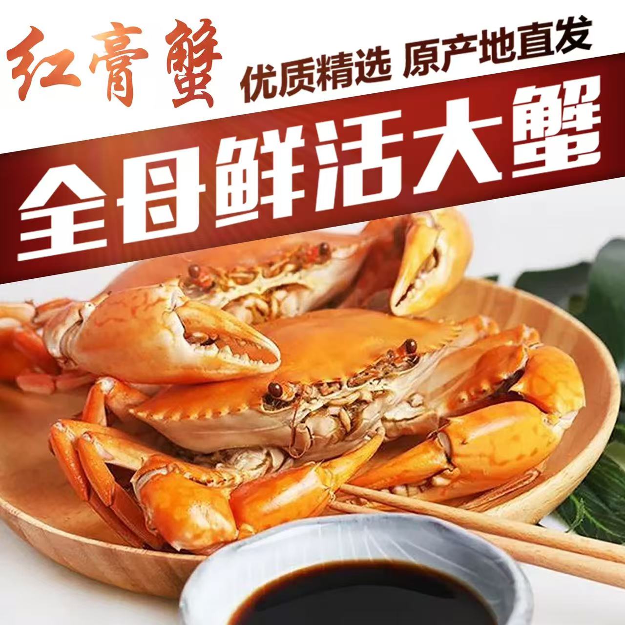 福建红膏母蟹拍5送1金秋到手6只净重4两到3.5两